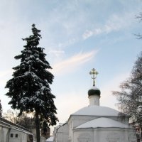Амвросиевская церковть,у северной стены :: Сергей Мягченков