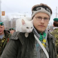 С котом лучше! :: Александр Андриенко
