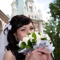 Свадьба в Царицино :: Наталья Борисова
