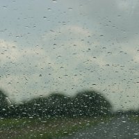 дождь :: татьяна 