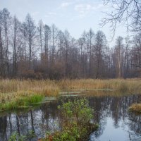 Вечереет :: Павел 