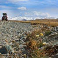 Неброская красота Укока :: Наталья Карышева