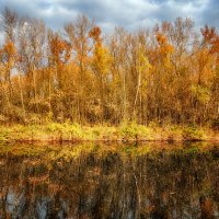 Поима :: Александр Афромеев