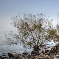 Море Галилейское :: Наталия Крыжановская