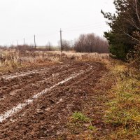 Ты помнишь, Алёша, дороги Смоленщины? :: Анатолий Тимофеев