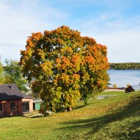 Finland :: Сергей Зыков