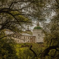 сквозь рамку листвы... :: Елена Новгородцева