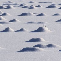 Снежные дюны :: Vladislav Rogalev