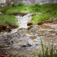 вода нашедшея дорогу .. :: Старцев Николай 