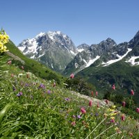 Домбай,вершина Домбай Ульген :: Татьяна 