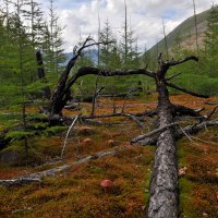 *** :: Александр Хаецкий