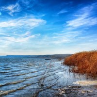 Донские просторы :: Александр Афромеев