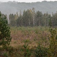 Осенний дождливый пейзаж :: Татьяна 