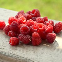 Fresh raspberry :: Kamillka 