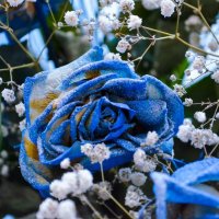 Голубая роза :: Виктор Чебоксаров