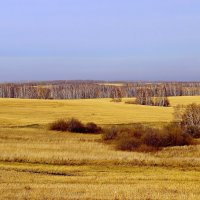 Осенний  ландшафт. :: Vlad Borschev