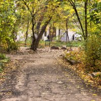 Осень во дворе :: Александр Скамо