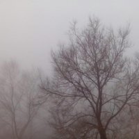 Туманным днём :: Павел Заславский