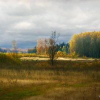 Капризная осень :: Юрий 