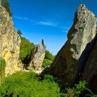 В двух шагах от оживлённого шоссе :: Александр Крупский