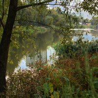 Водоемчик :: Владимир Кроливец