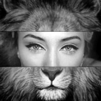 lion woman :: Ayman sadstar