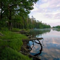 Утро на реке :: Владимир 