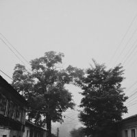 Туман :: Настя Емельянцева