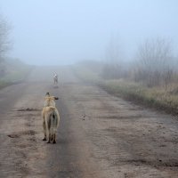 Подожди! :: Клавдия Синицина