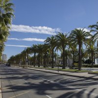 salou bulvar :: noanoa delmar 