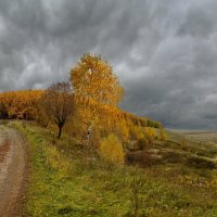 Осенними дорогами... :: Елена Колесникова 