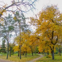 В воздухе осень. :: Дмитрий Климов