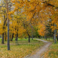 Тропа. :: Дмитрий Климов