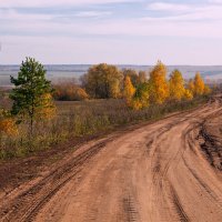 Осень. Дорога :: Юрий 