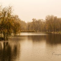 Одесса. Дюковский парк :: Ира 