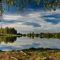 Под сенью облаков и листьев :: Александр | Матвей БЕЛЫЙ