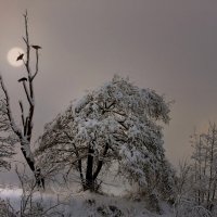 И я вернусь, когда про всё забуду… :: Александр | Матвей БЕЛЫЙ