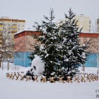 СНЕЖНАЯ ПАНДА В ГОРОДЕ :: Vladislav Rogalev