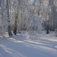 Зима :: Василий Аникеев