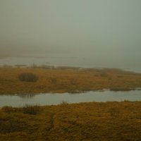 "...ложился на поля туман..." :: Лара Комплиментова