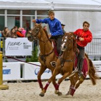 equestrians :: Sergey Burlakov