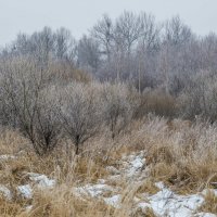 Ноябрь и снег :: Виктор Алеветдинов