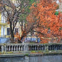 Осень в Одессе. :: Виталий Ярко