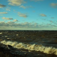 Балтийское море. Финский залив. Ноябрь 2013г. :: Евгений Киреев