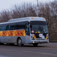 bus :: Павел 