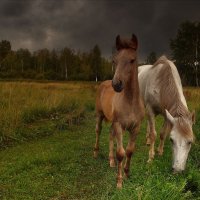 Где-то гремит :: Игорь Денисов