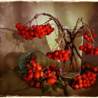 Осенние ягоды... :: Лена L.