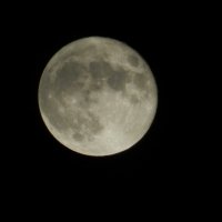 Луна :: Михаил Гранат