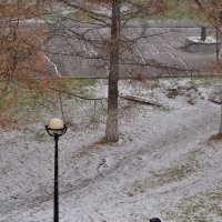 Первый снег :: Евгешка Храмова