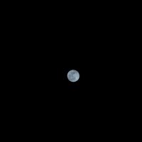 Moon :: Ира Дунайцева